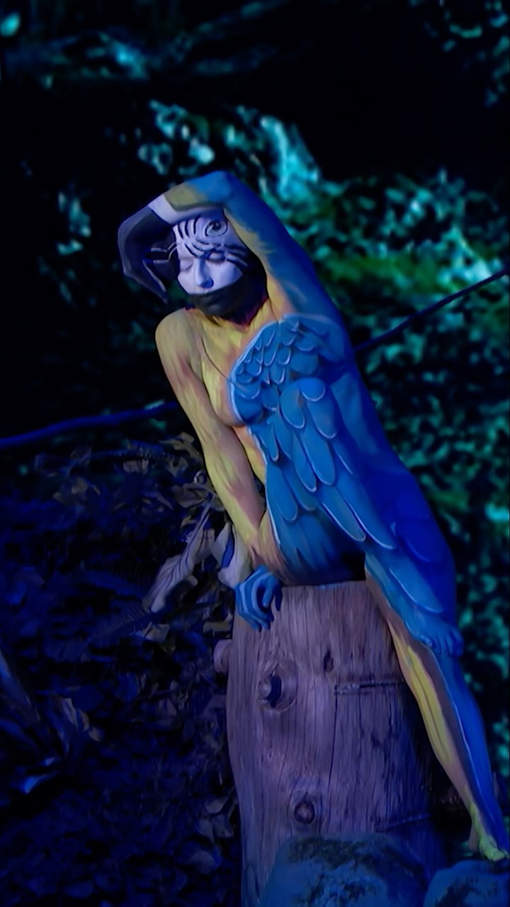 A Woman Fuses With A Macaw on AGT